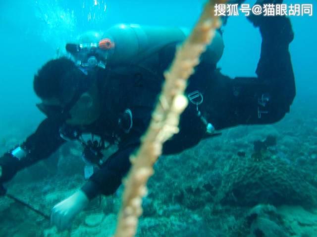 重庆：所有具备条件的二级及以上医疗机构将设置肿瘤科