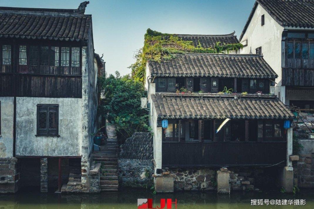 僵尸吃怪物